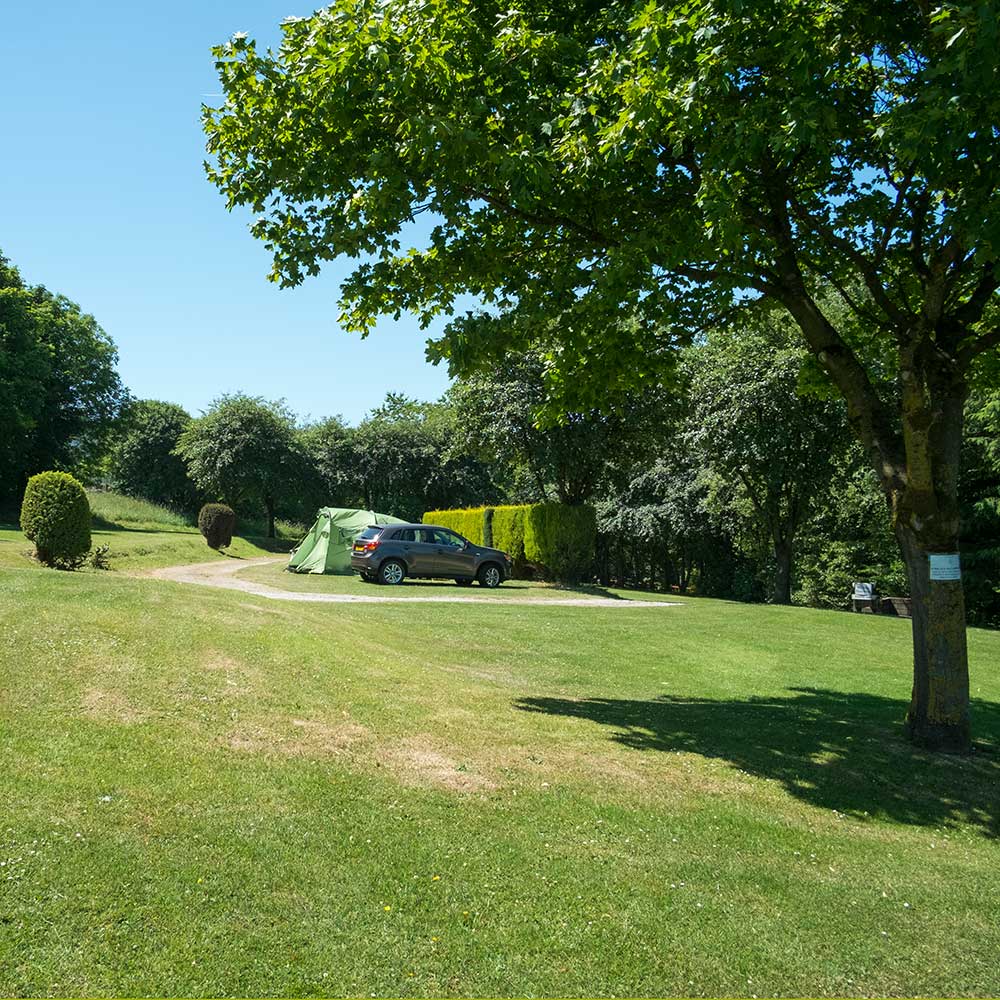 Lime Tree Holiday Park Buxton Camping Campsite 2706G